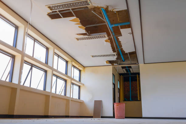 Best 24-hour water damage restoration  in Tornillo, TX