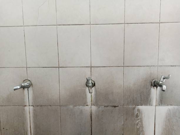 Best Sewage cleanup and water damage restoration  in Tornillo, TX