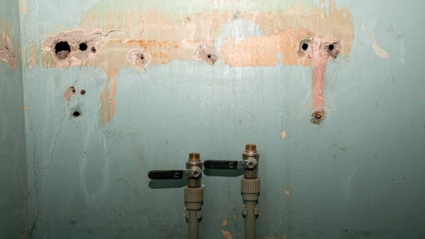 Best Local water damage restoration  in Tornillo, TX
